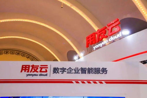 大爆發 erp的國產化替代