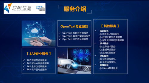 云端有為 汐帆信息提供全方位sap智能云解決方案