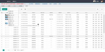 開單大師 zol下載